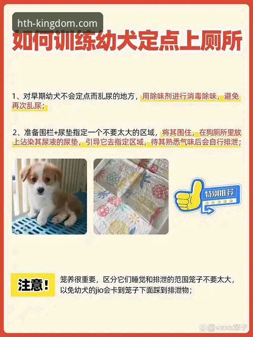 如何快速上手HTH沉浸式竞技最新版？新手必看的完整操作指南